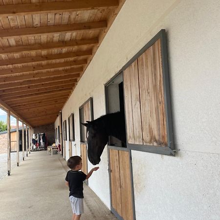 House Of Horses Shtepia E Kuajve Hotel Korce Eksteriør billede