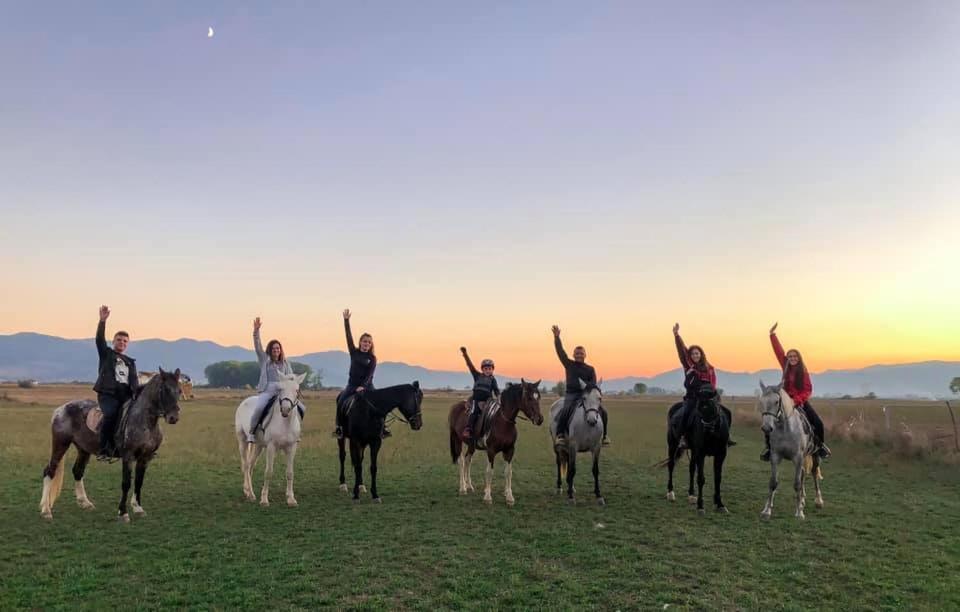 House Of Horses Shtepia E Kuajve Hotel Korce Eksteriør billede