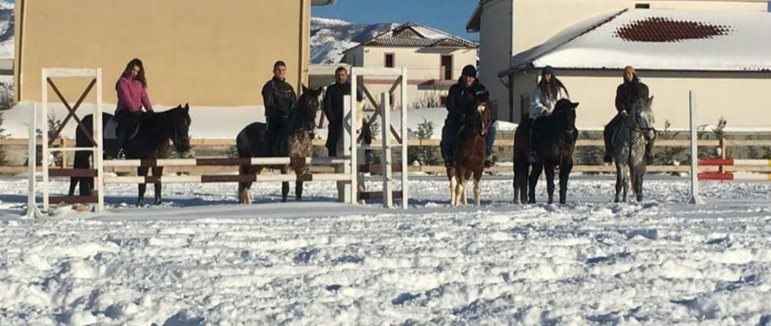 House Of Horses Shtepia E Kuajve Hotel Korce Eksteriør billede