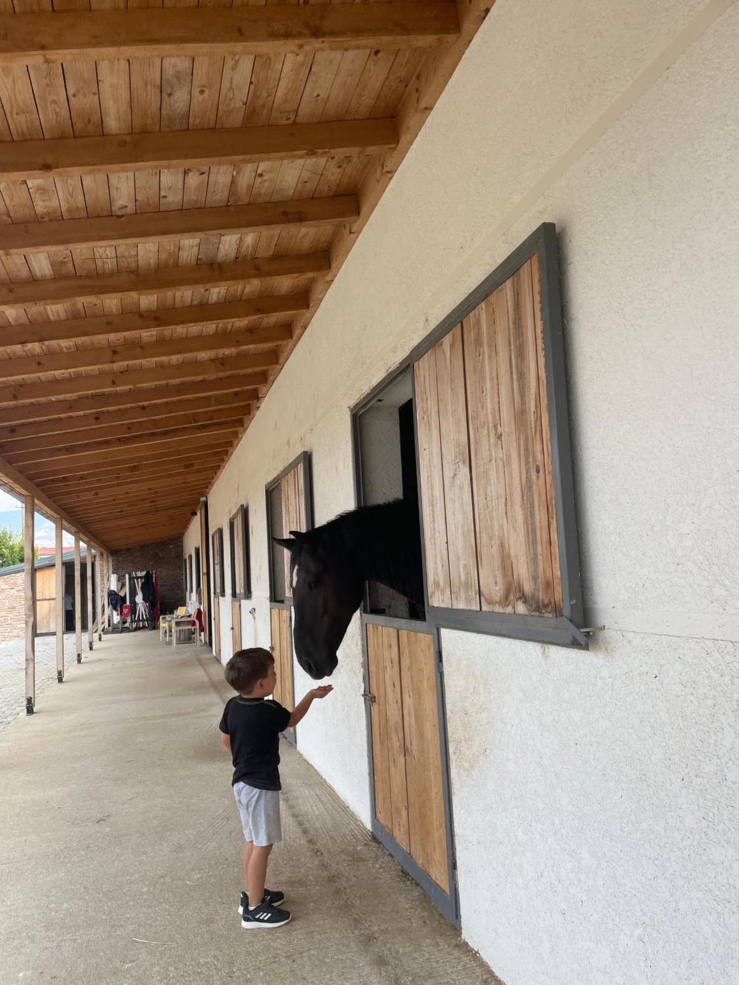 House Of Horses Shtepia E Kuajve Hotel Korce Eksteriør billede